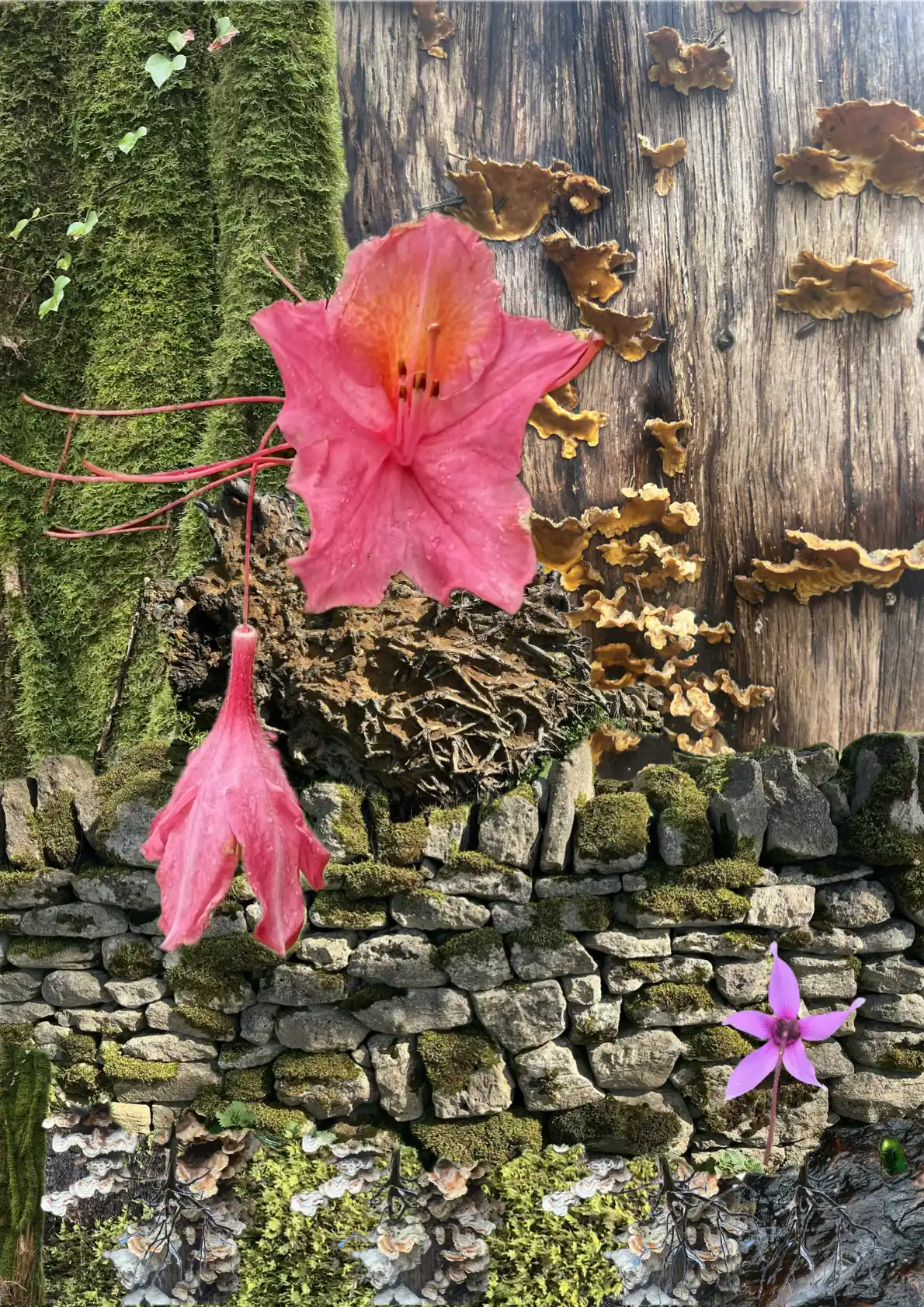 Digital collage, iPhone — May 2026, by Disrupt the Gaze, London